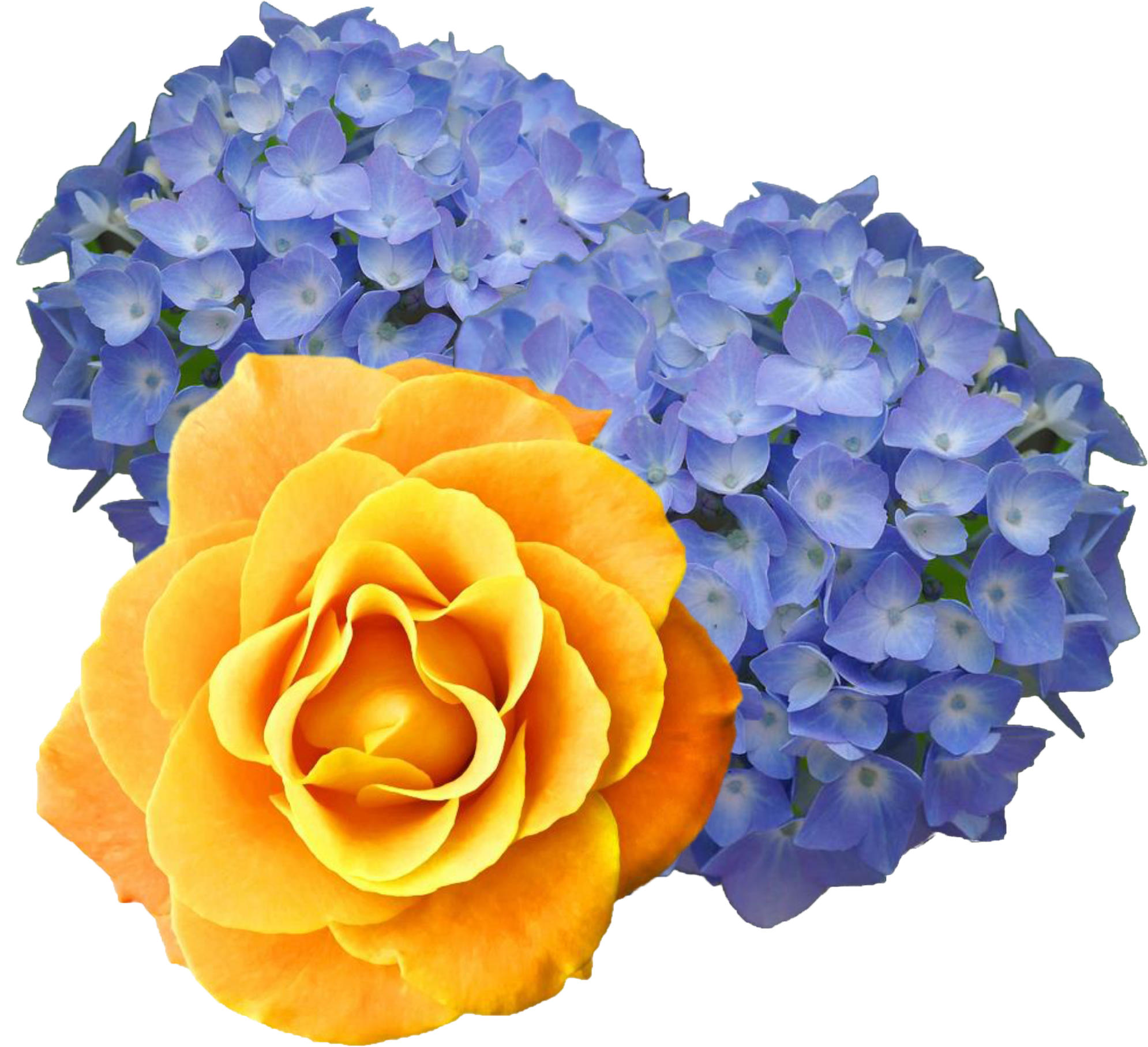 Floral Bouquet