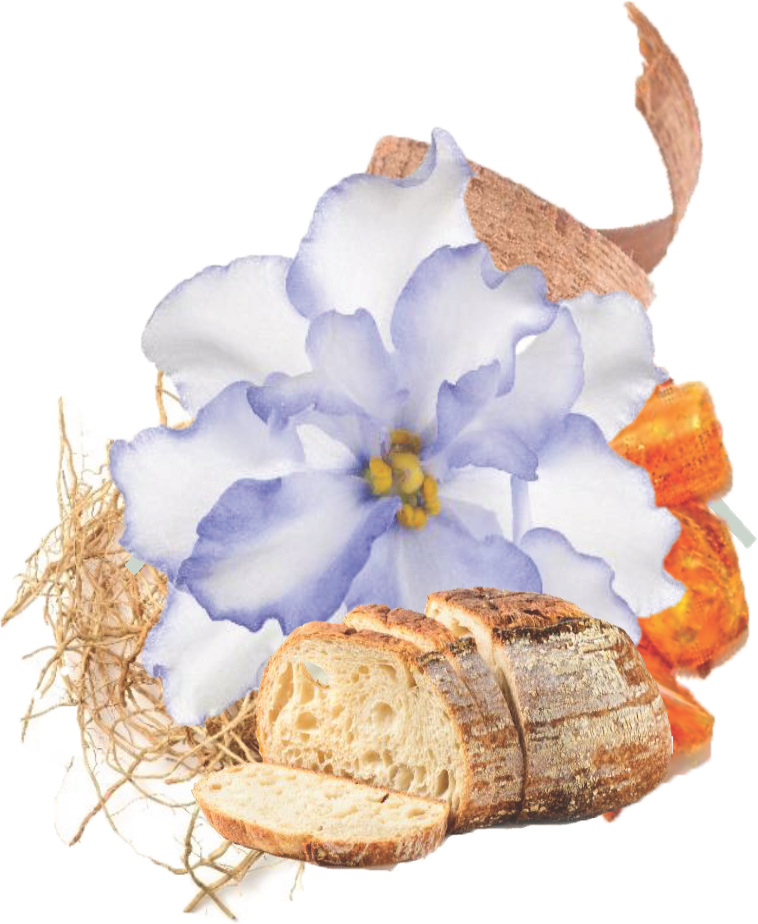 Fresh Bread