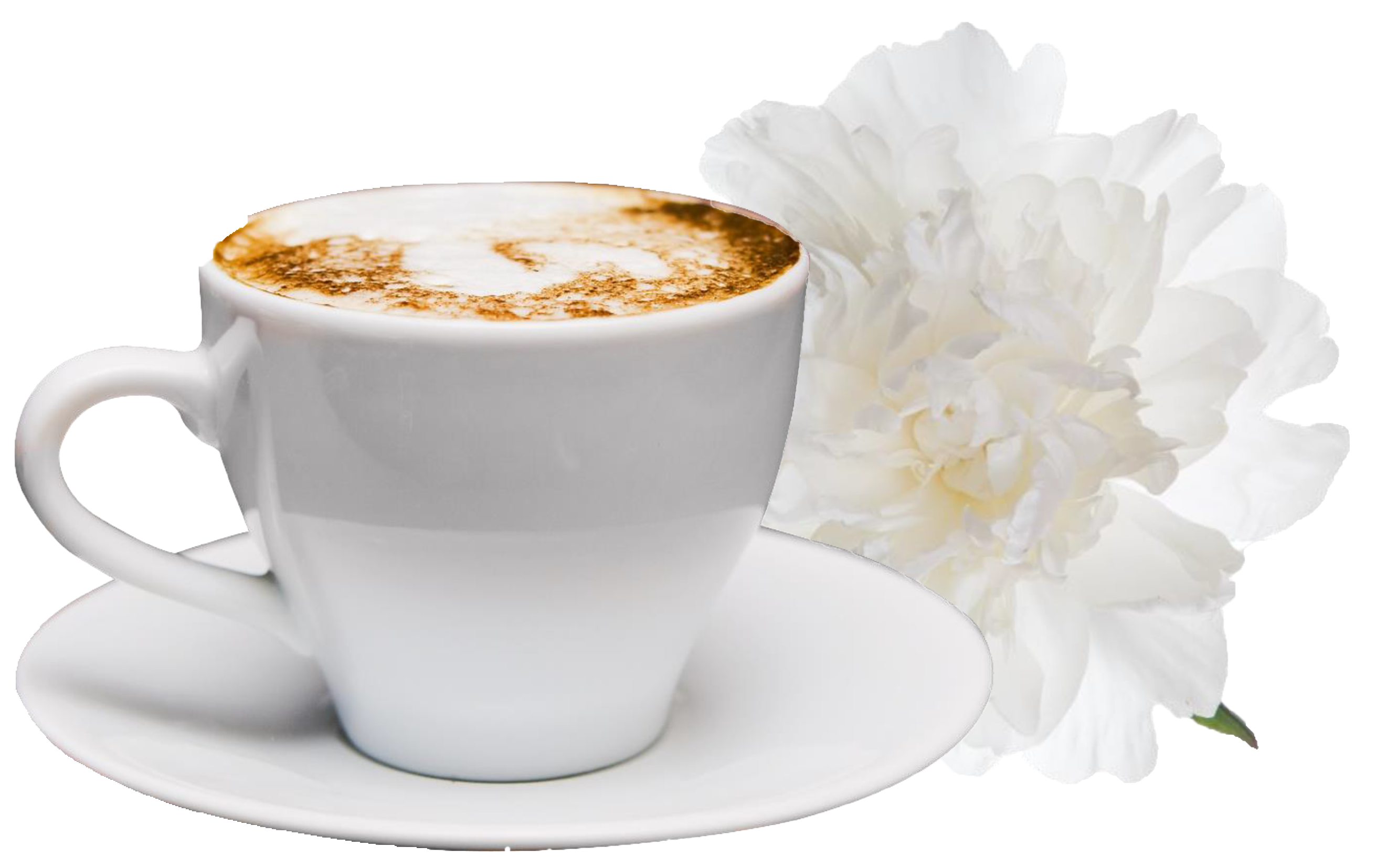 Frozen Cappuccino
