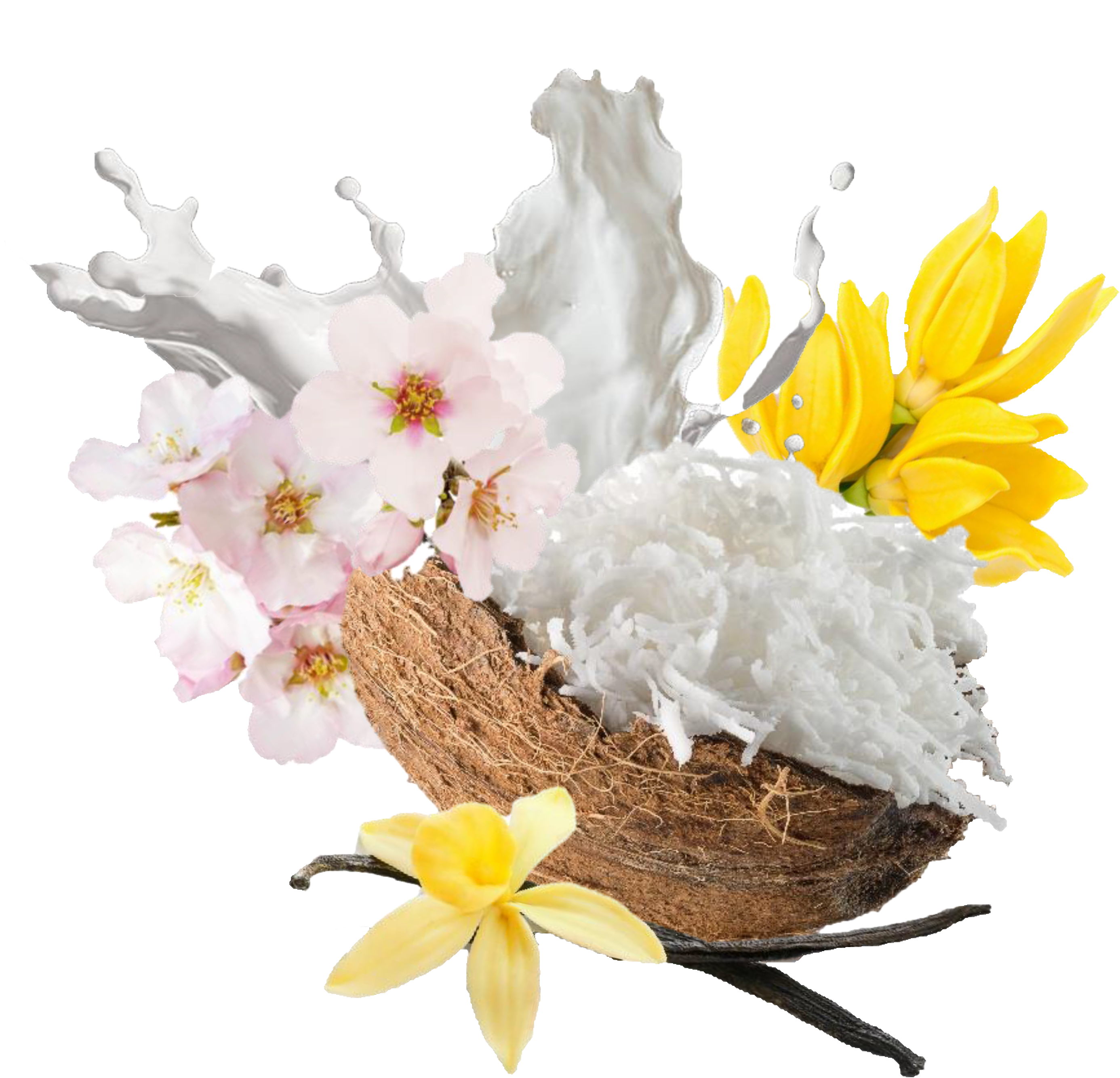 Ocean Pacific Coconut