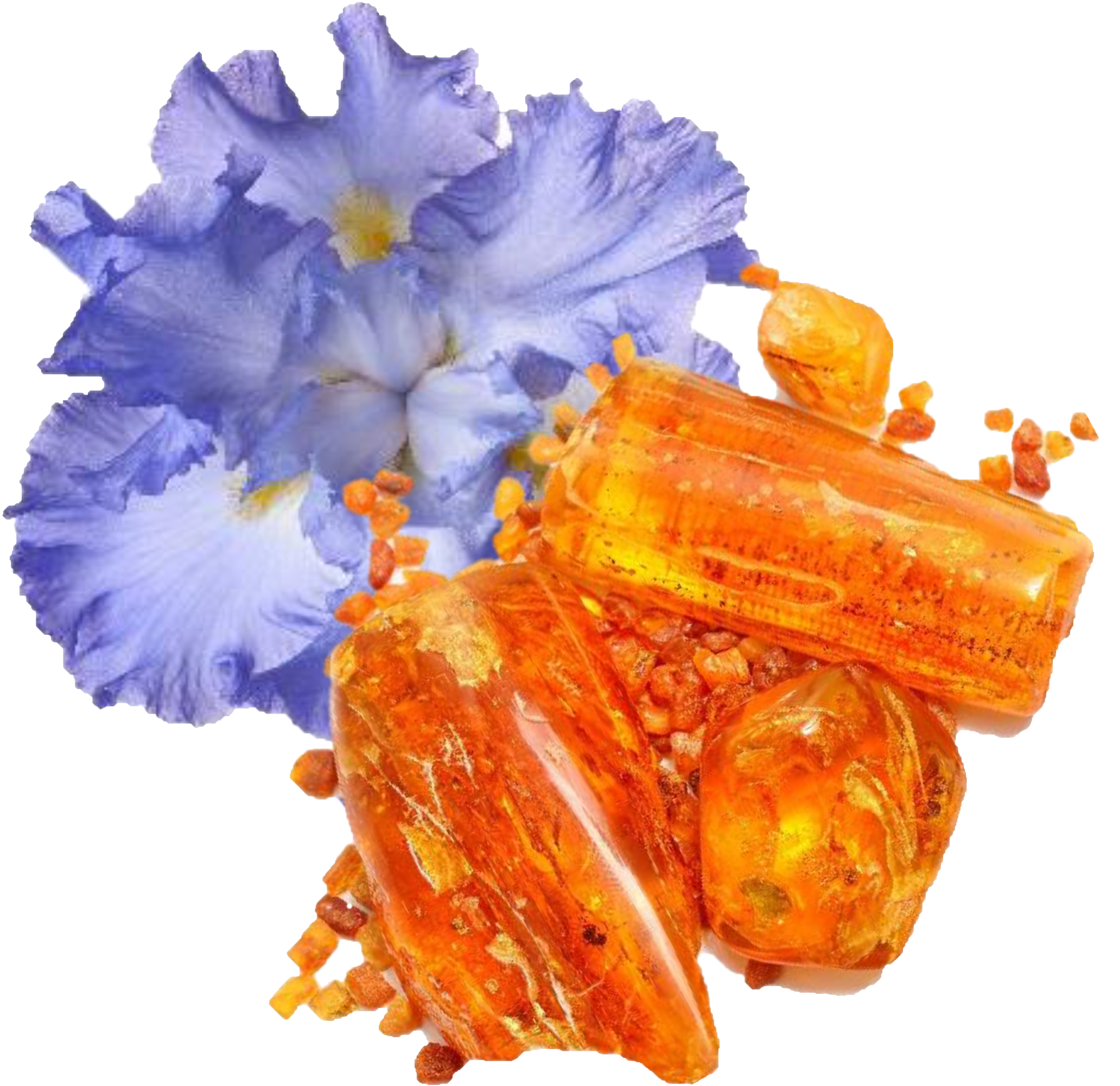 Oriental Amber