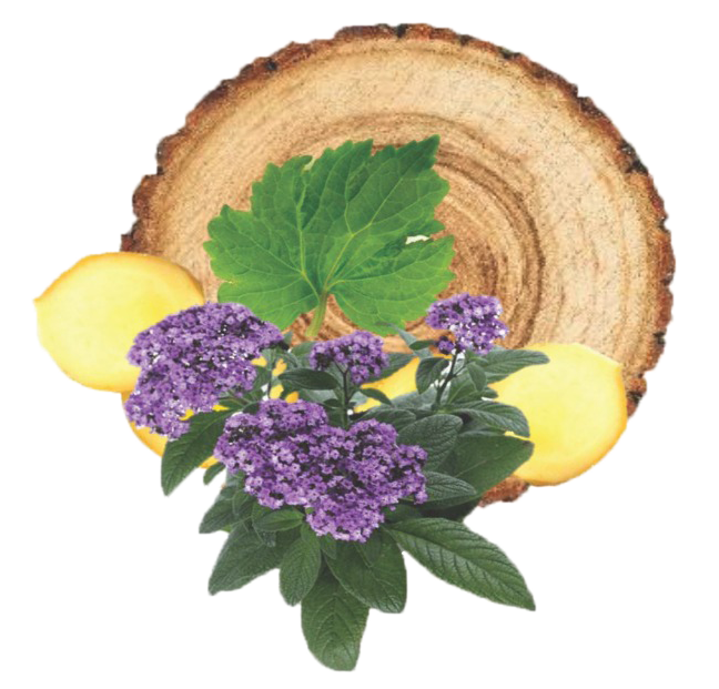 Oud Wood