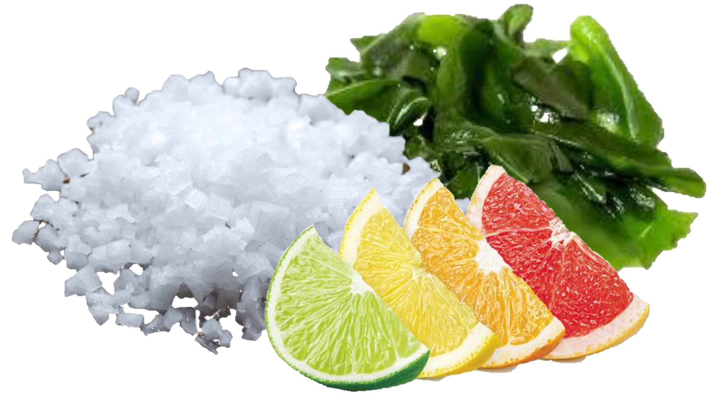 Salty Watery Shades