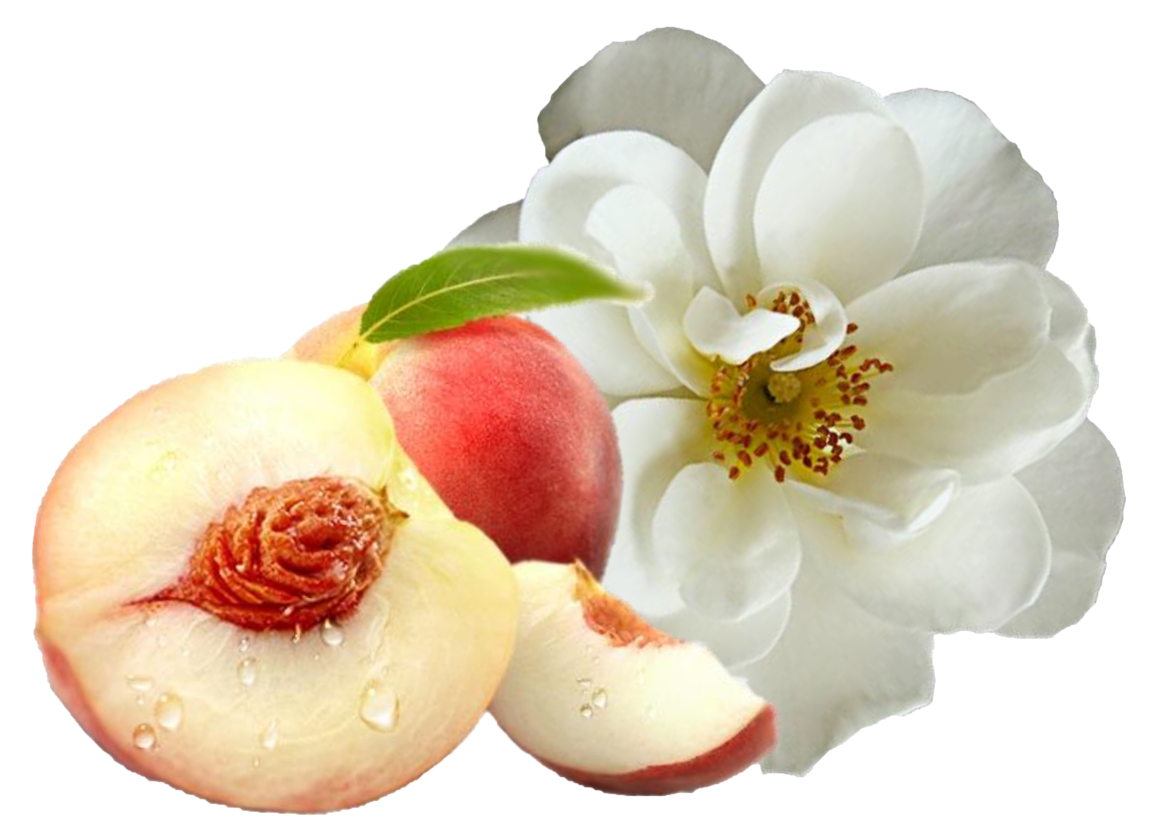 Velvety Peach