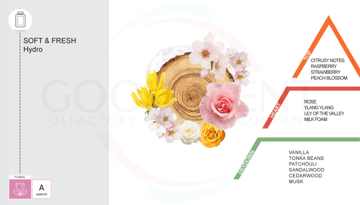 Parfum Concentrat pentru Rufe, Good Scent, aroma Soft & Fresh, 200gr, cu pompita dozare [2]