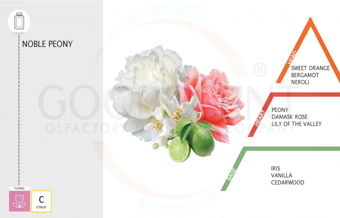 Parfum Concentrat pentru Rufe, Good Scent, aroma Noble Peony, 200gr, cu pompita dozare [2]