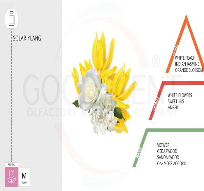 Parfum Concentrat pentru Rufe, Good Scent, aroma Solar Ylang, 200gr, cu pompita dozare [2]