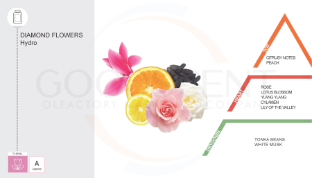 Parfum Concentrat pentru Rufe, Good Scent, aroma Diamond Flowers, 200gr, cu pompita dozare [1]
