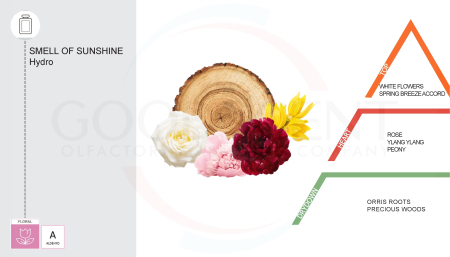 Concentrated perfume for laundry, Good Scent, Smell of Sunshine fragrance, 200gr [1]