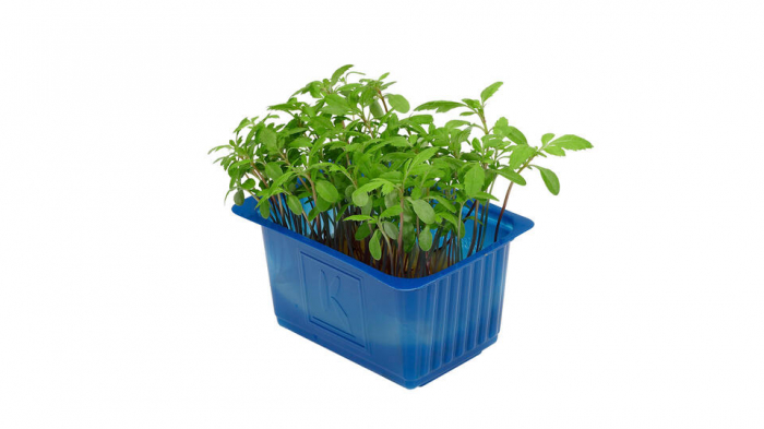 Aclla Cress®, bax cu 16 pahare, 30x40cm [2]