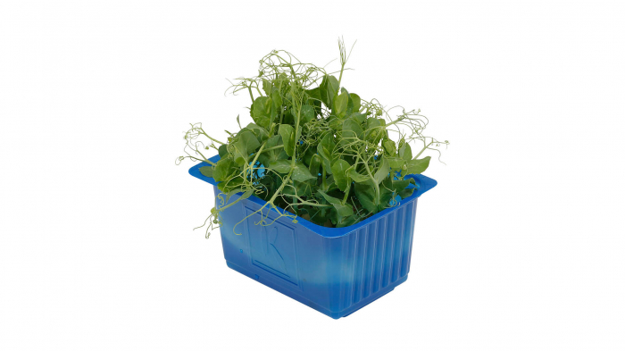 Affilla Cress®, bax cu 16 pahare, 30x40cm [2]