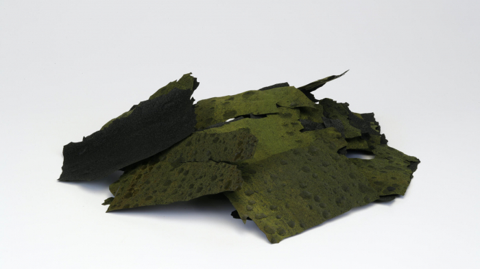 Algae Flakes [3]