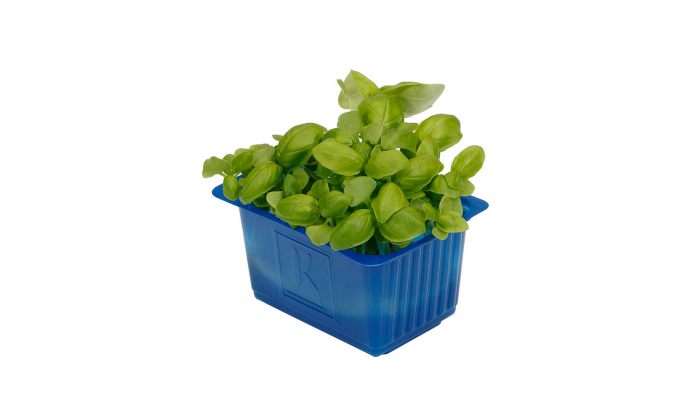 Basil Cress, bax cu 16 pahare, 30x40cm [2]