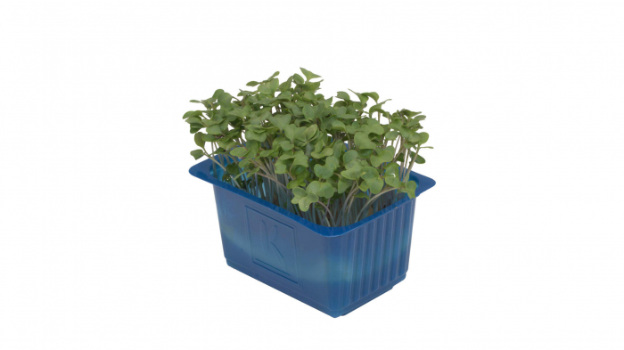 Broccocress®, bax cu 10 pahare, 30x40cm [2]