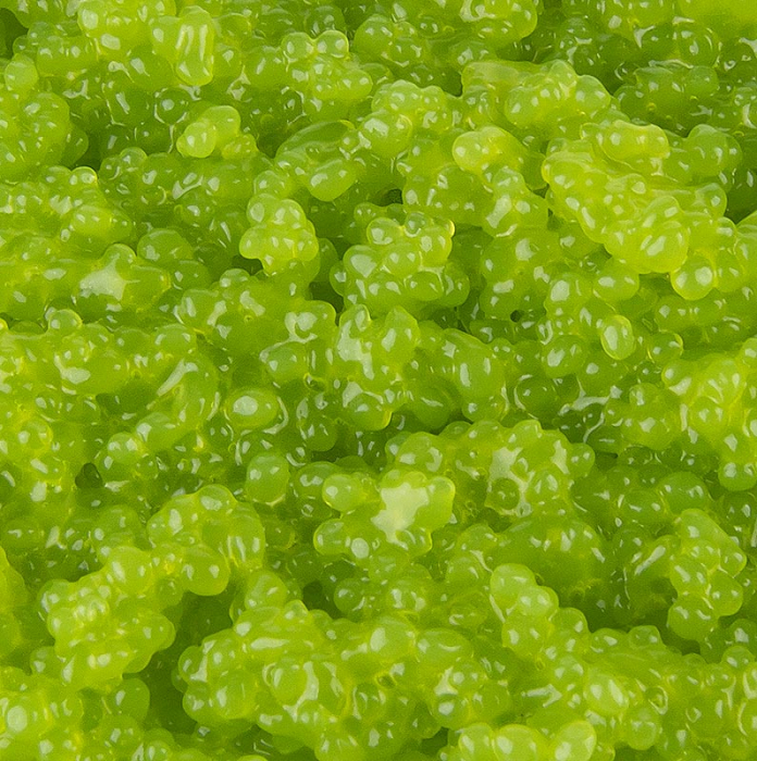 Caviar cu alge Cavi-Art, aroma de wasabi, 500 g [3]