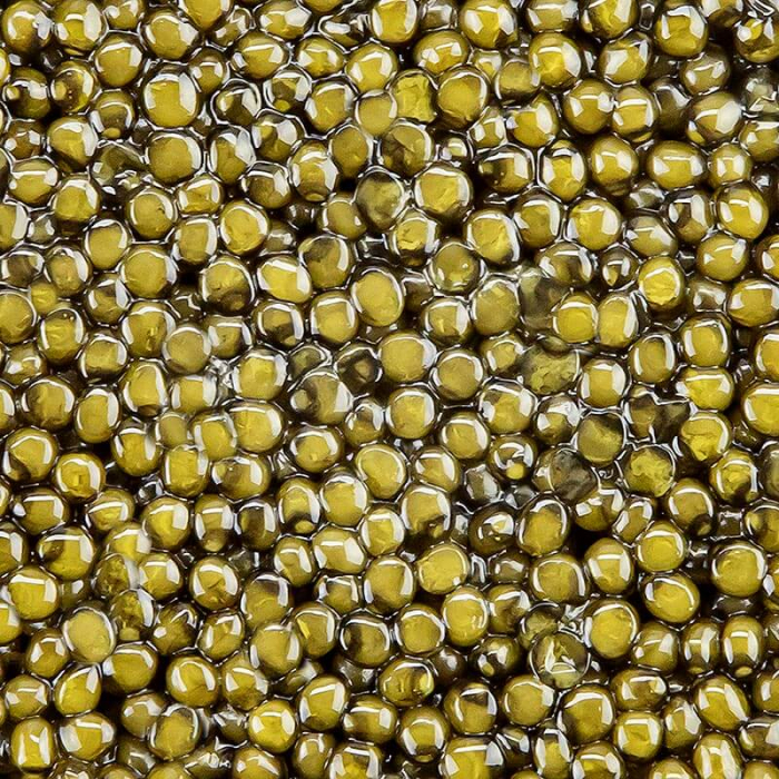 Selecție de caviar - Ossetra / Osietra (güldenstaedtii) CAVIAR PLAT (oK), 50 g [3]