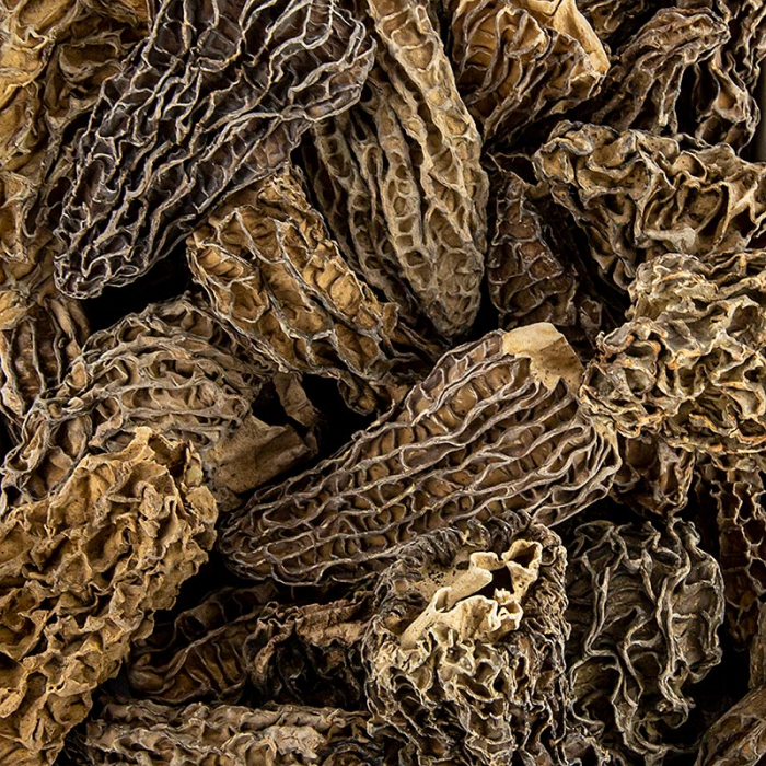 Ciuperci Morel, capete ascutite, jumbo, uscate, Borde, 800 g [1]