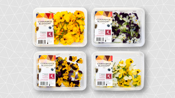Cornabria Blossom® [2]