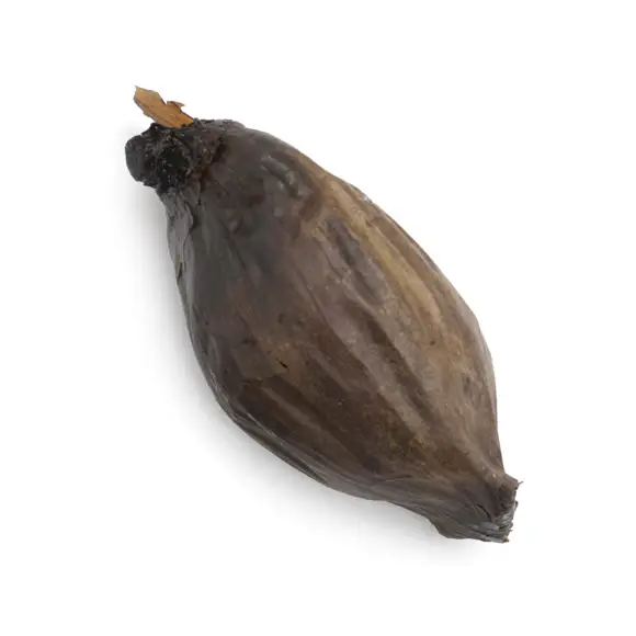 Ceapa Neagra "Shallot" Umami 60g [2]