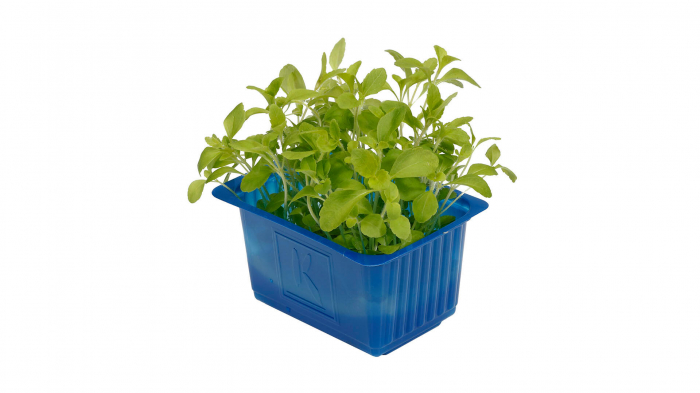 Honny® Cress, bax cu 16 pahare, 30x40cm [2]