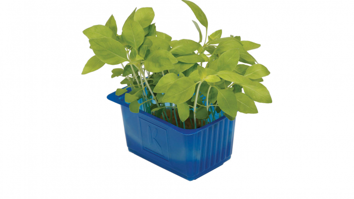 Limon Cress, bax cu 16 pahare, 30x40cm [2]
