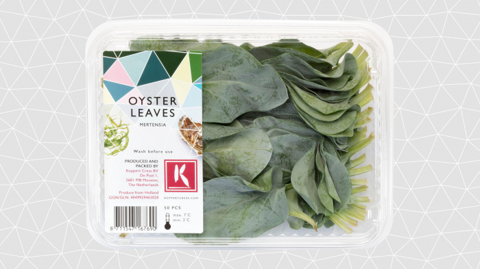 Oyster Leaves [2]
