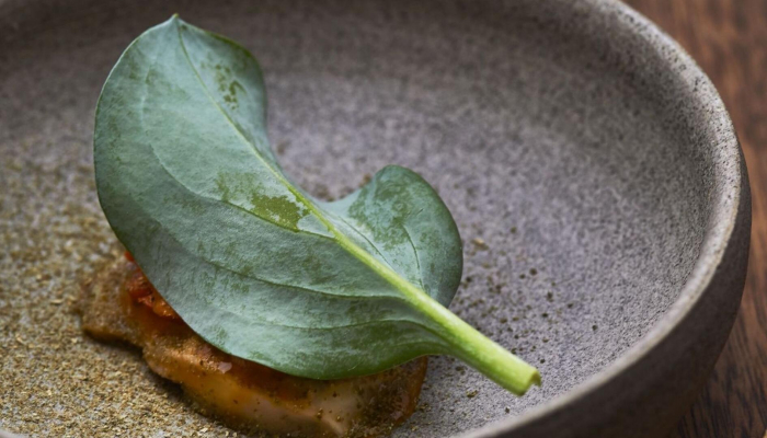 Oyster Leaves [4]