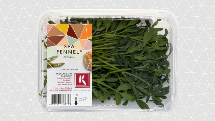 Sea Fennel [2]