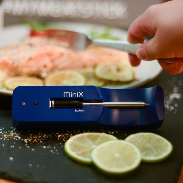 Setul de termometru pentru carne MeatStick Mini X cu aplicatie [2]