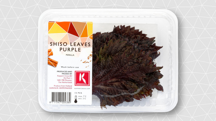Frunze Shiso Violet, bax cu 12 caserole a cate 15 frunze fiecare [2]