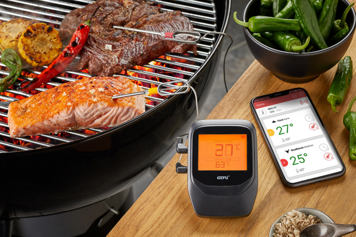 Termometru pentru carne Gefu Control multisonda [2]