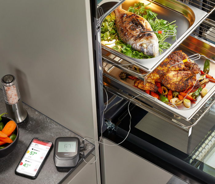 Termometru pentru carne Gefu Control multisonda [3]