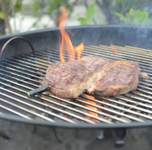Termometrul pentru carne MeatStick Mini Stick cu aplicatie - Verde [4]