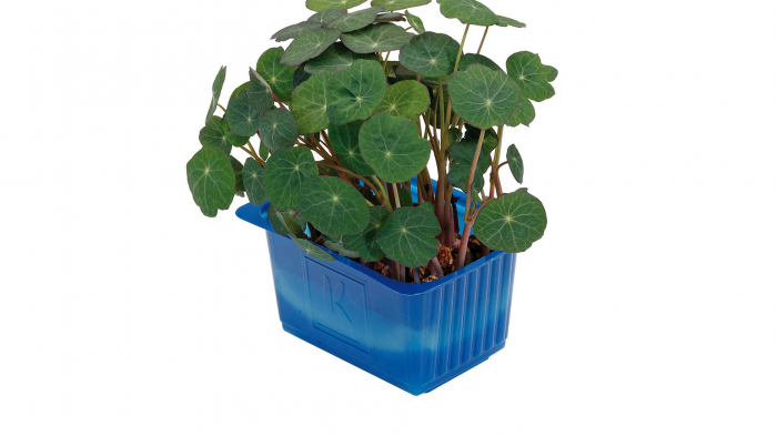 Zorri Cress, bax cu 16 pahare, 30x40cm [2]