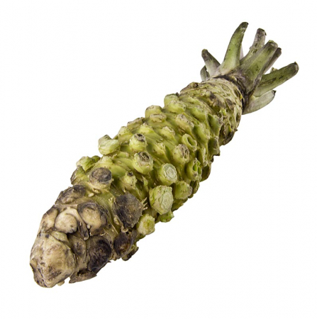 Radacina de wasabi, intreaga, proaspata, aproximativ 120 gr [0]