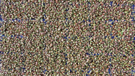 Adji Cress, bax cu 16 pahare, 30x40cm [2]