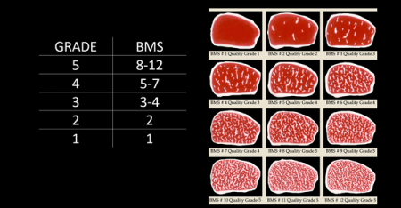 Antricot Vita Wagyu, Japonia, Tochigi, A5 BMS 8, 500 g [1]