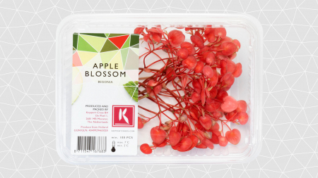 Apple Blossom, bax cu 2 caserole a cate 100 flori fiecare, 30x40cm [1]