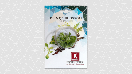 Blinq Blossom®, bax cu 2 pahare a cate 20 flori fiecare, 30x40cm [1]