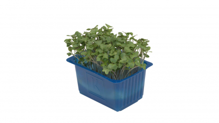 Broccocress®, bax cu 10 pahare, 30x40cm [1]