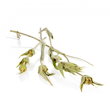 Ceai - Ceai grecesc de munte, Anemos, organic, 25 g