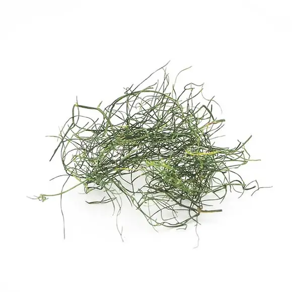 Bacanie - Fenicul Uscat Ordine Contadino 10g