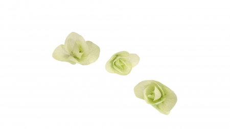 Microplante si cress - Floregano®, bax cu 2 pahare a cate 20 flori fiecare, 30x40cm