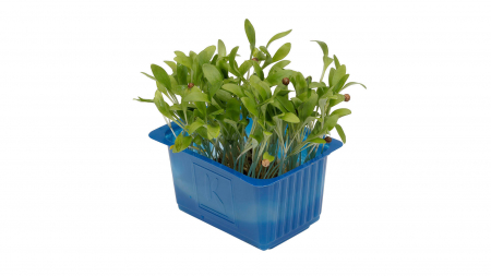 Ghoa Cress®, bax cu 16 pahare, 30x40cm [1]