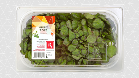 Hippo Tops [1]