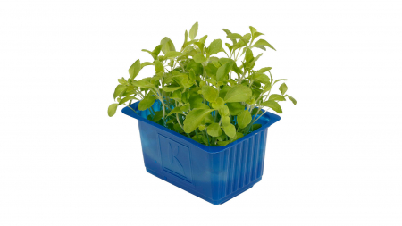Honny® Cress, bax cu 16 pahare, 30x40cm [1]