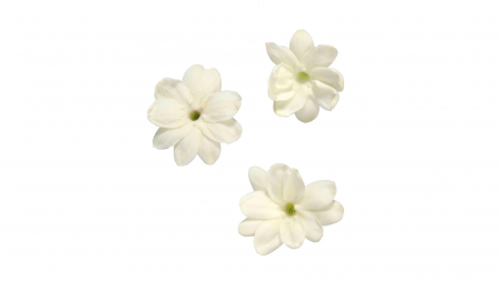Microplante si cress - Jasmine Blossom, bax cu 2 pahare a cate 25 flori fiecare, 30x40cm