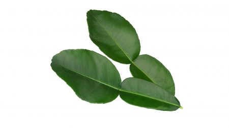 Microplante si cress - Kaffir Lime Leaves, bax cu 2 caserole a cate 25 frunze, 30x40cm