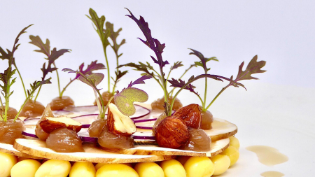 Kyona Mustard Cress [3]