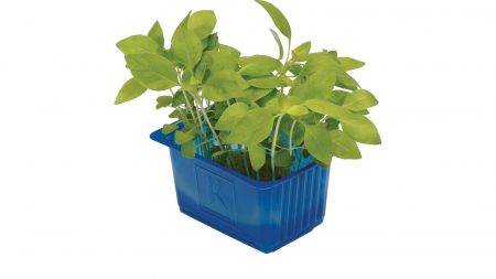 Limon Cress, bax cu 16 pahare, 30x40cm [1]